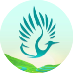 Heron Asia